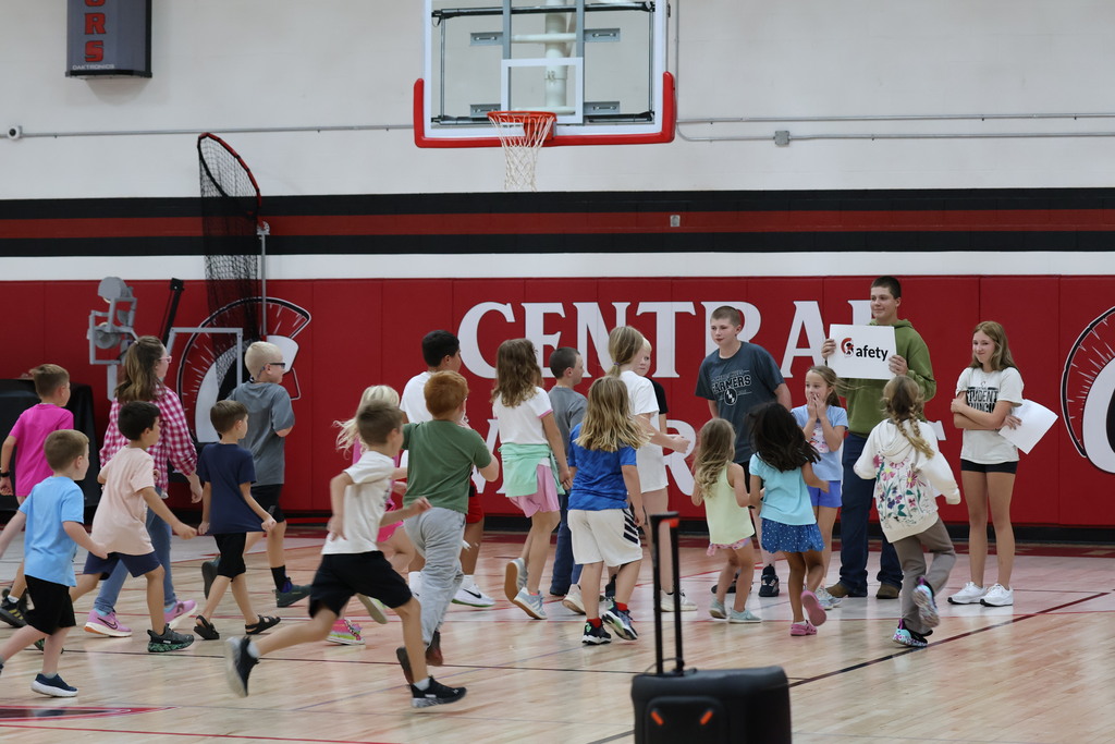 CCS activity