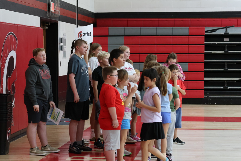 CCS activity