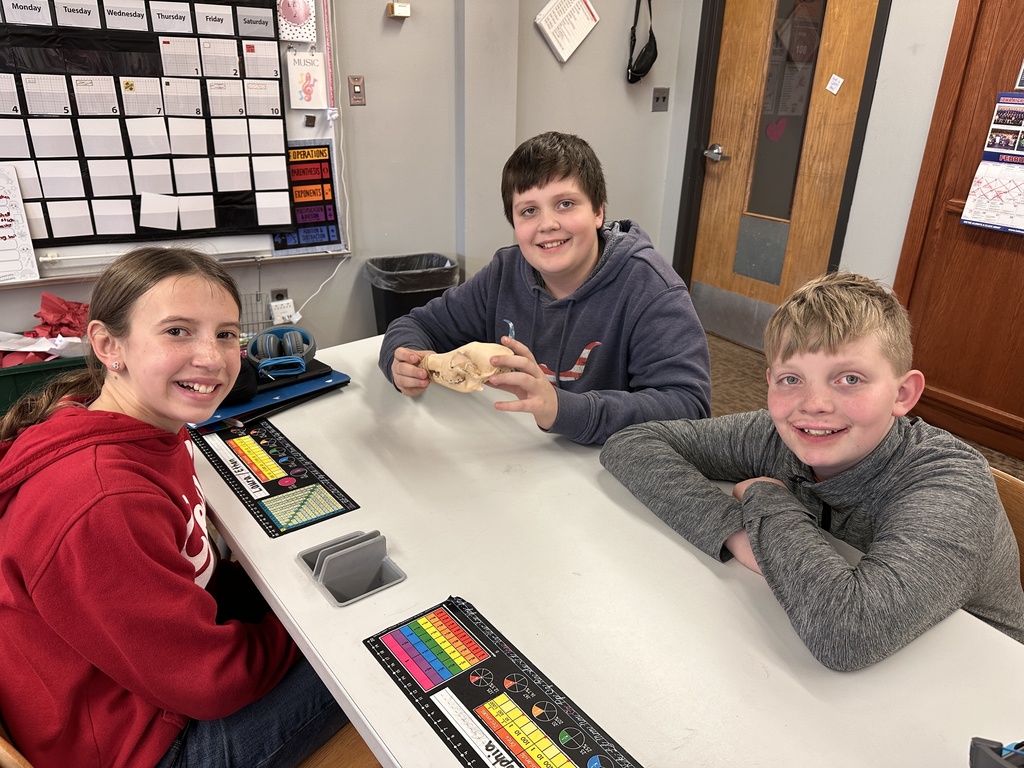 Herbivore, Omnivore or Carnivore?