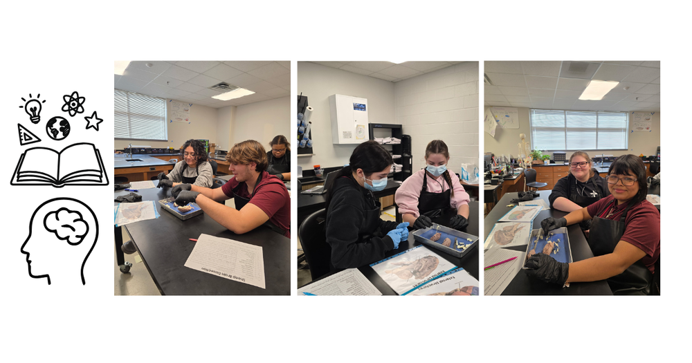 CHS Anatomy and physiology class