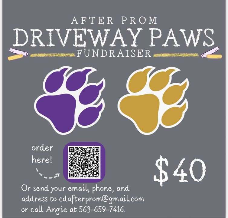 After Prom Driveway Paws Fundraiser