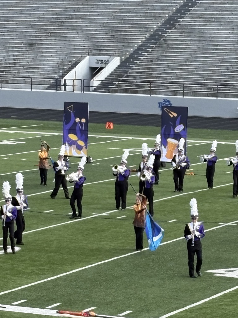 Marching Sabers Pride