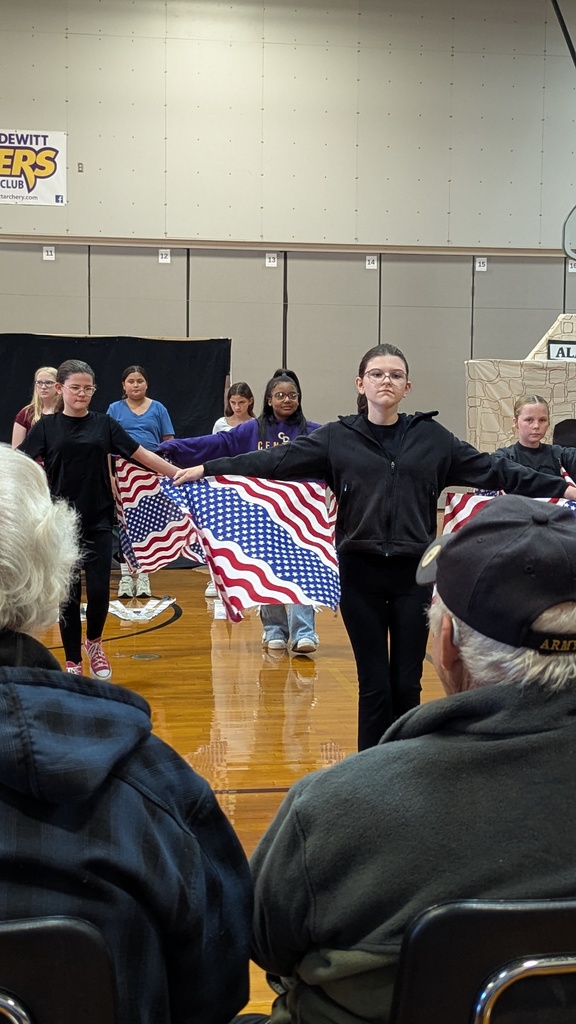 CDIS students performing at Veterans Day assembly