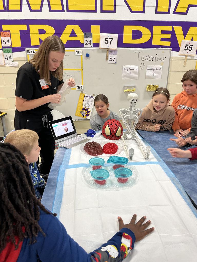 Students learning about our brains from Nurse Practitioner Heather Ohnemus