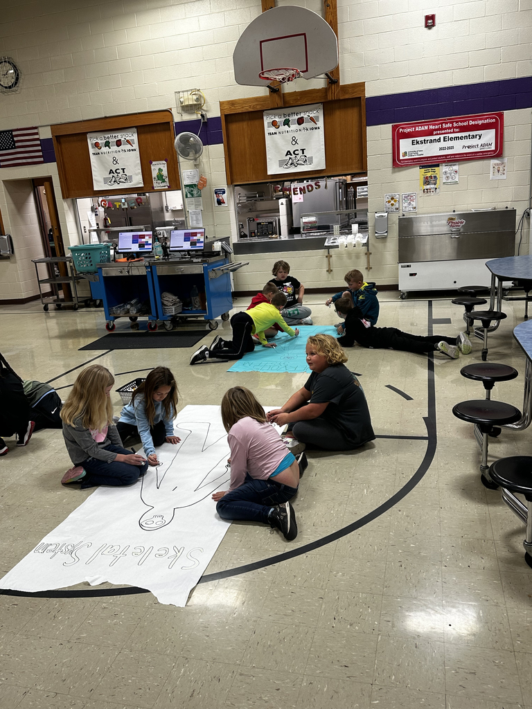 Students drawing life-size skeletal systems