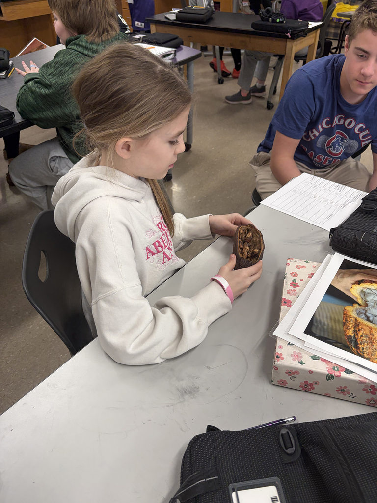 6th graders looking a cacao pod