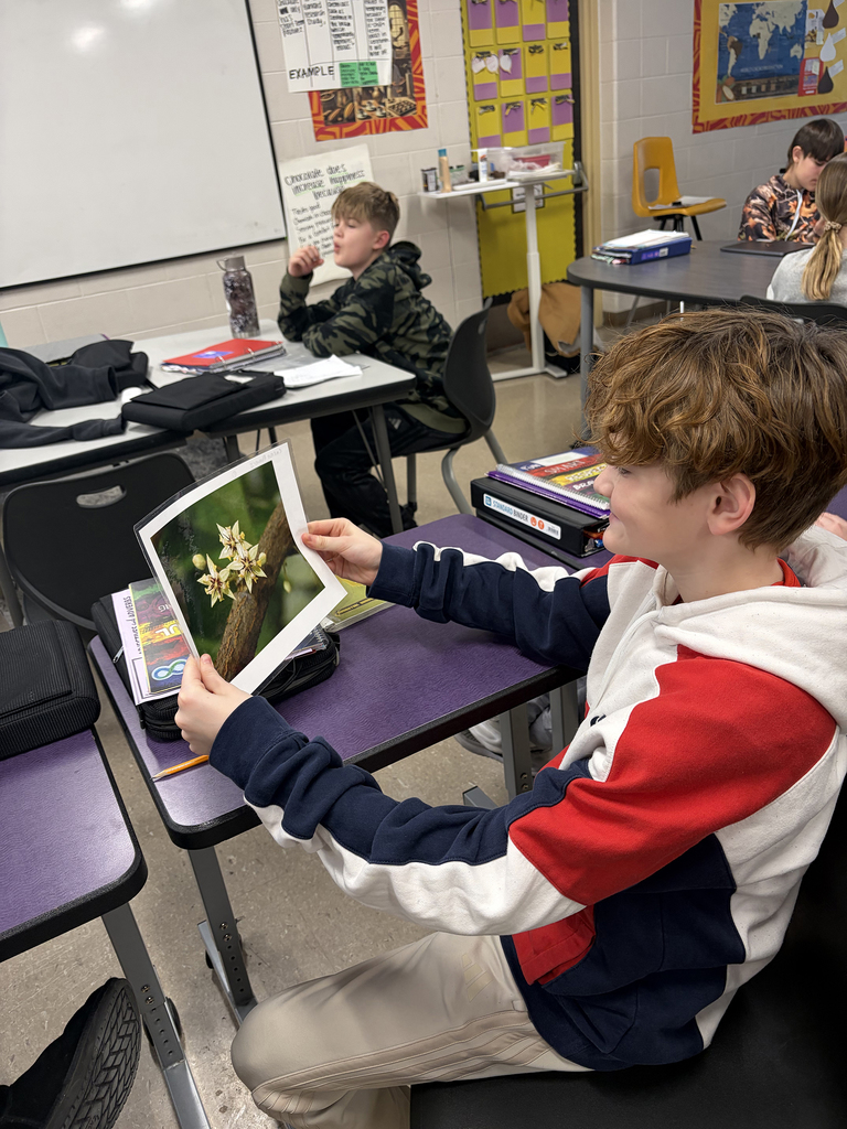 6th graders looking at picture of cacao plant