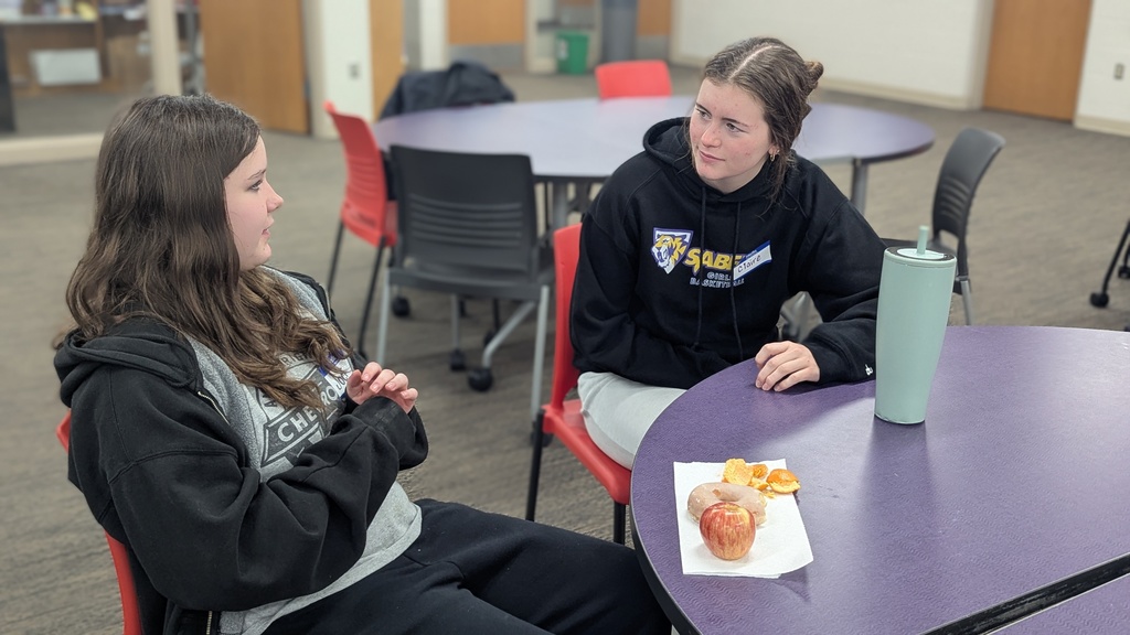 Pen pals talking about the LeUyen Pham illustrated book they read