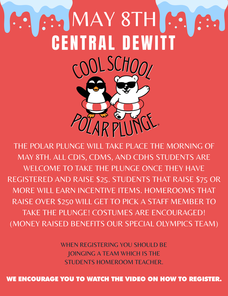 Polar Plunge Flyer