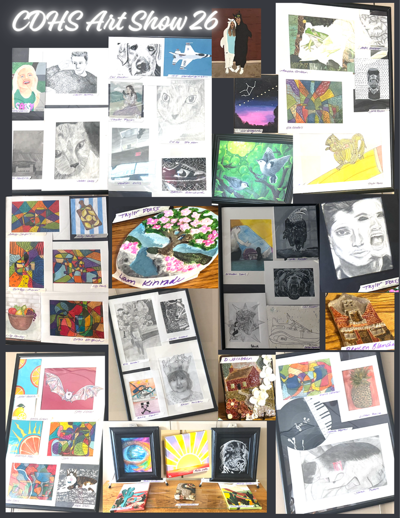 CDHS Saber Artists' work at the First Central Art Gallery