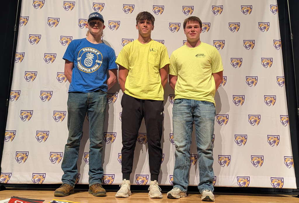 Students who are pursuing an apprenticeship or working in trades
