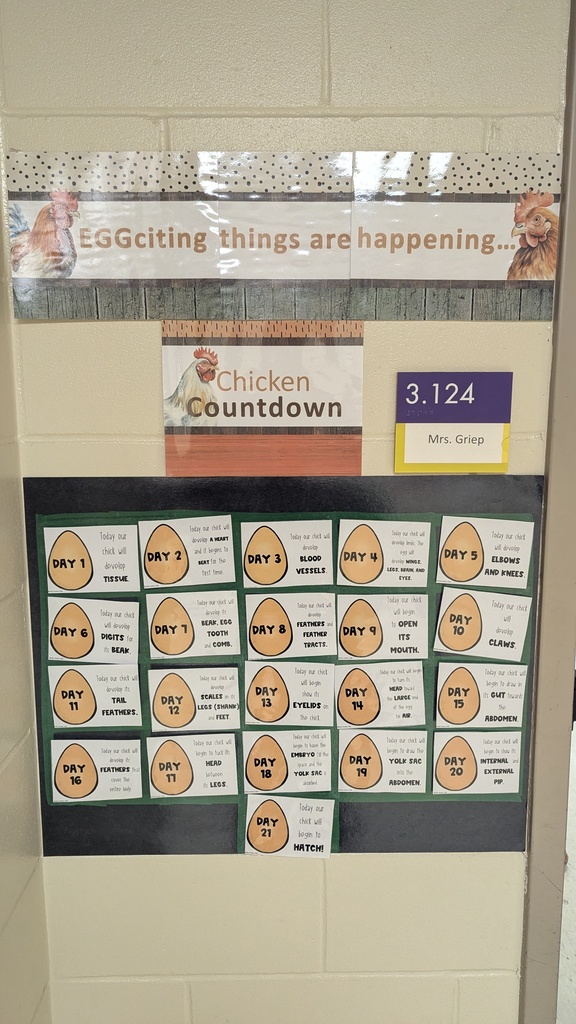 Chicken Countdown poster explaining each step