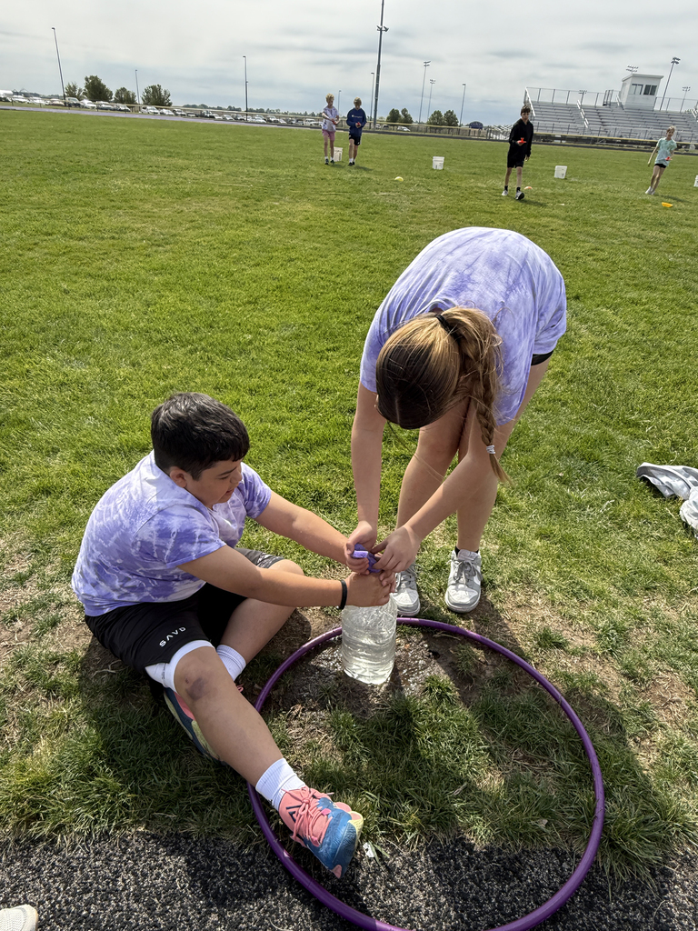 CDIS students field day