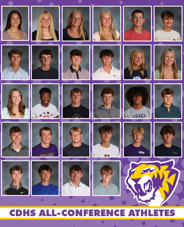 Spring All-conference athletes