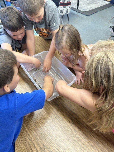 Students learning about minnows