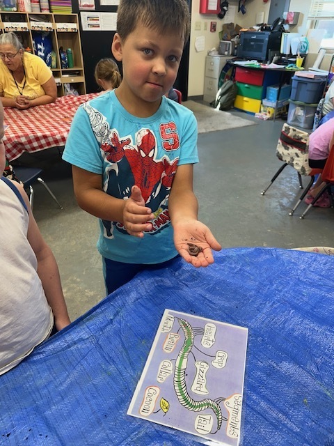 Student holding earth worms