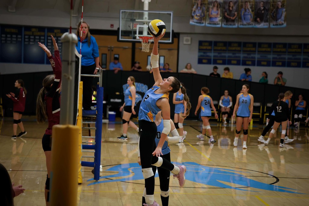 vb