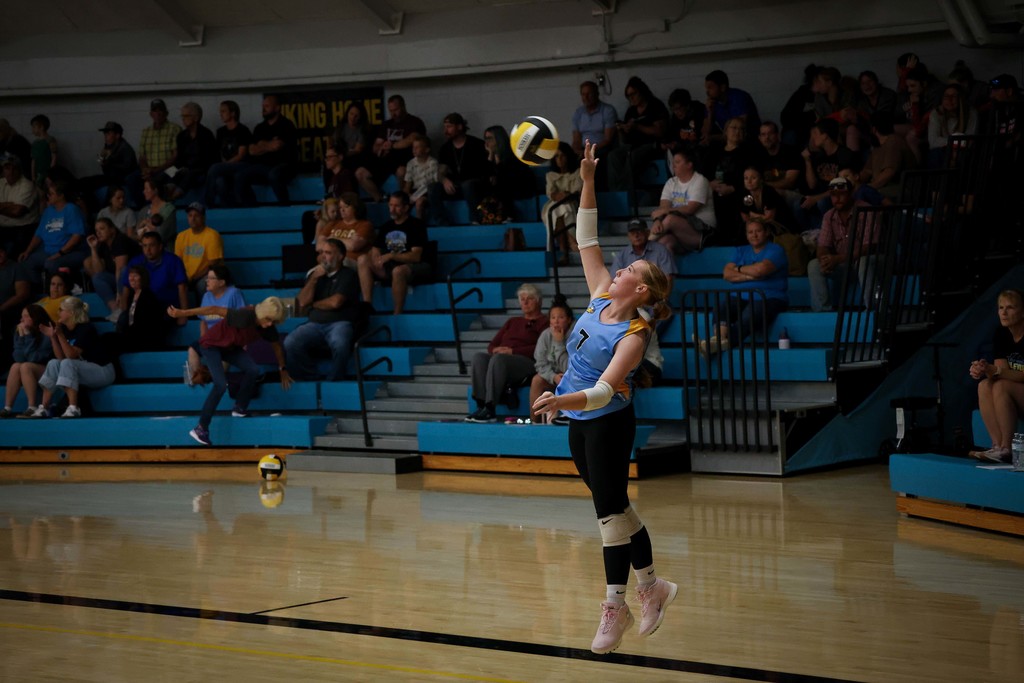 vb