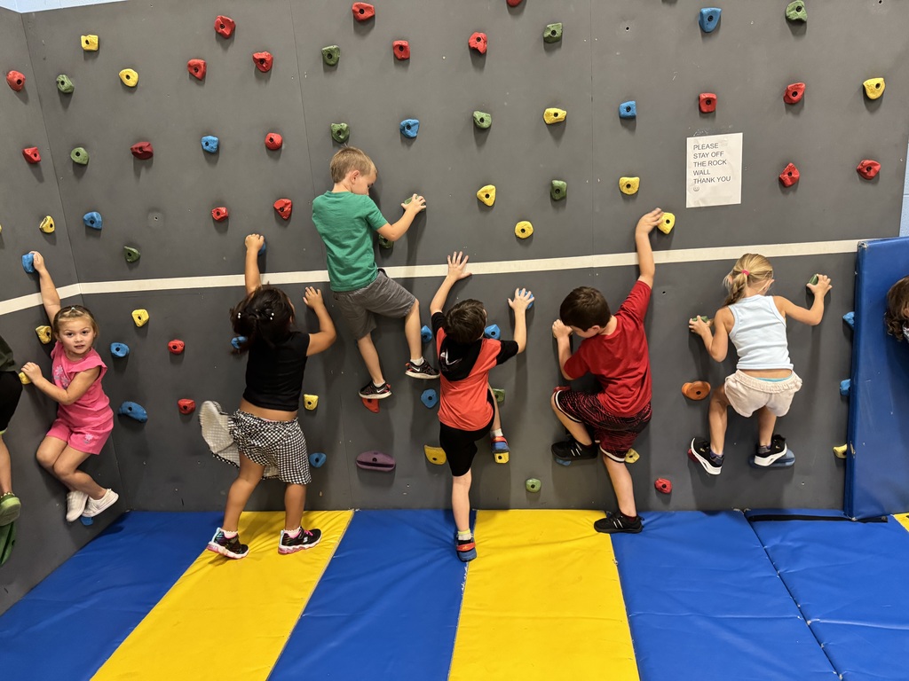 PE1