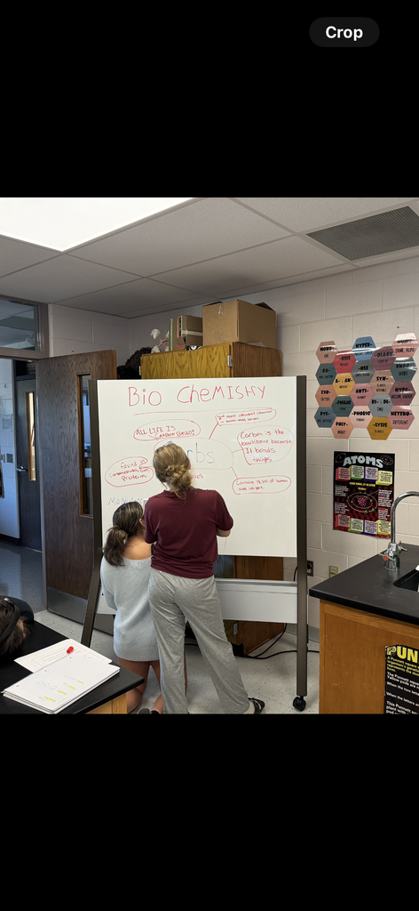Students working on a whiteboard