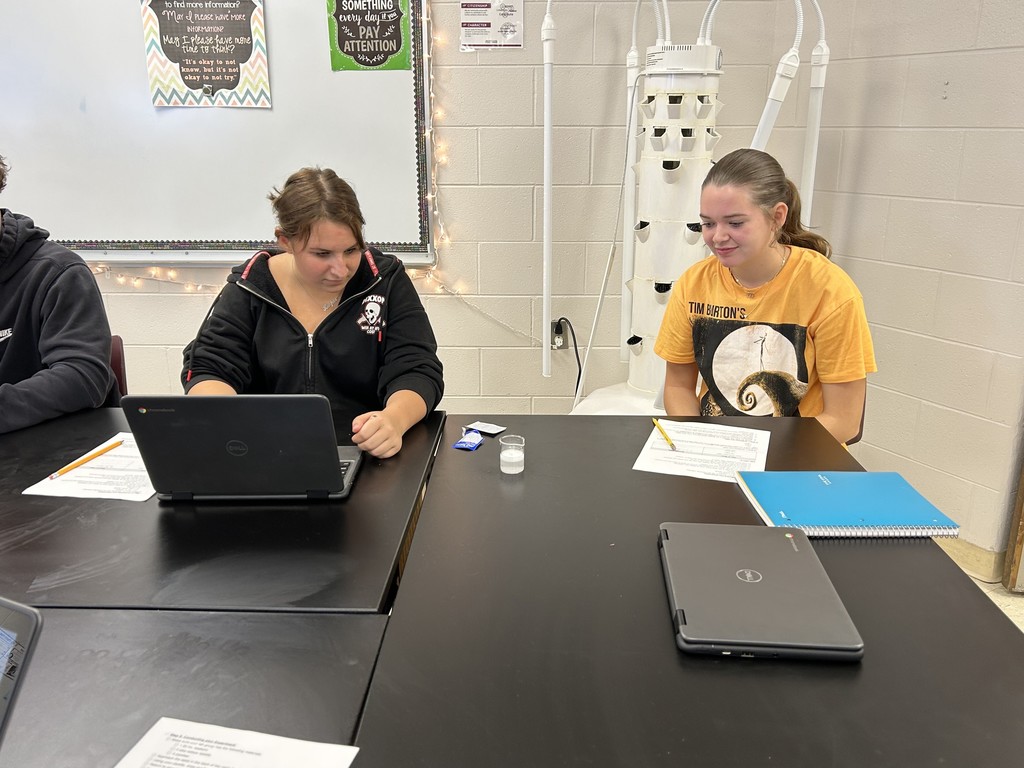 Students working on a lab