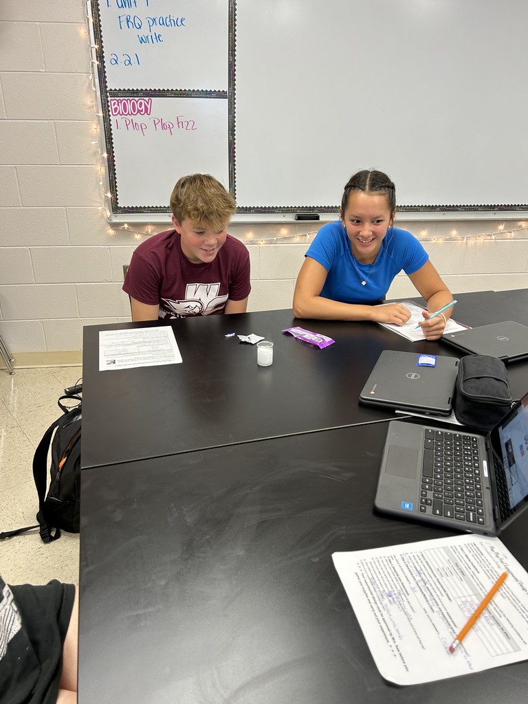 Students working on a lab