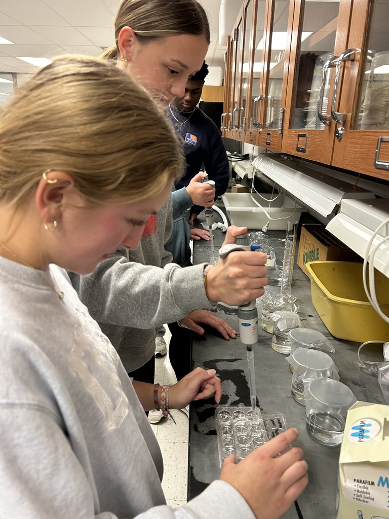 Students working on a lab