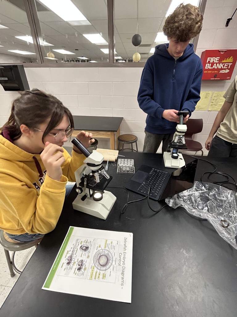 Students looking through microscopes