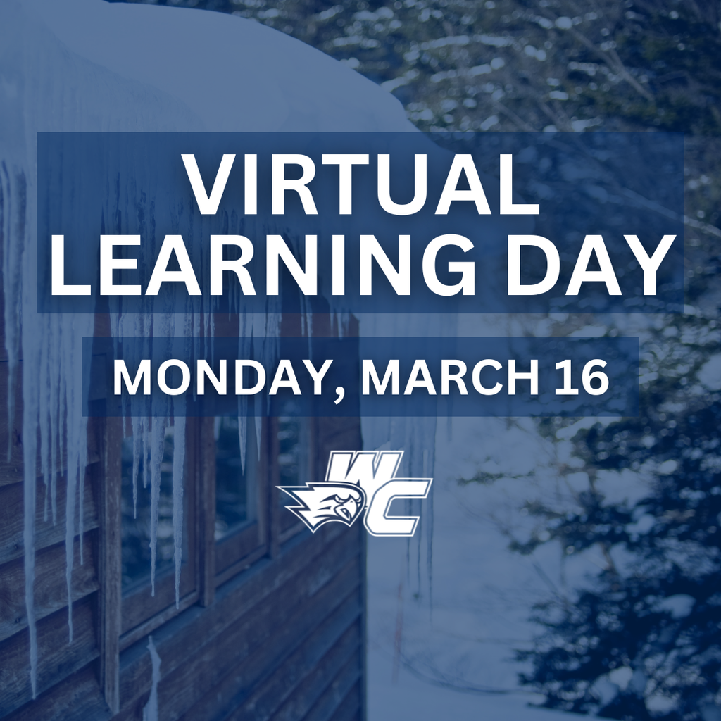 Virtual Learning Day