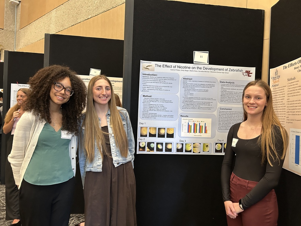 Students with their presentations