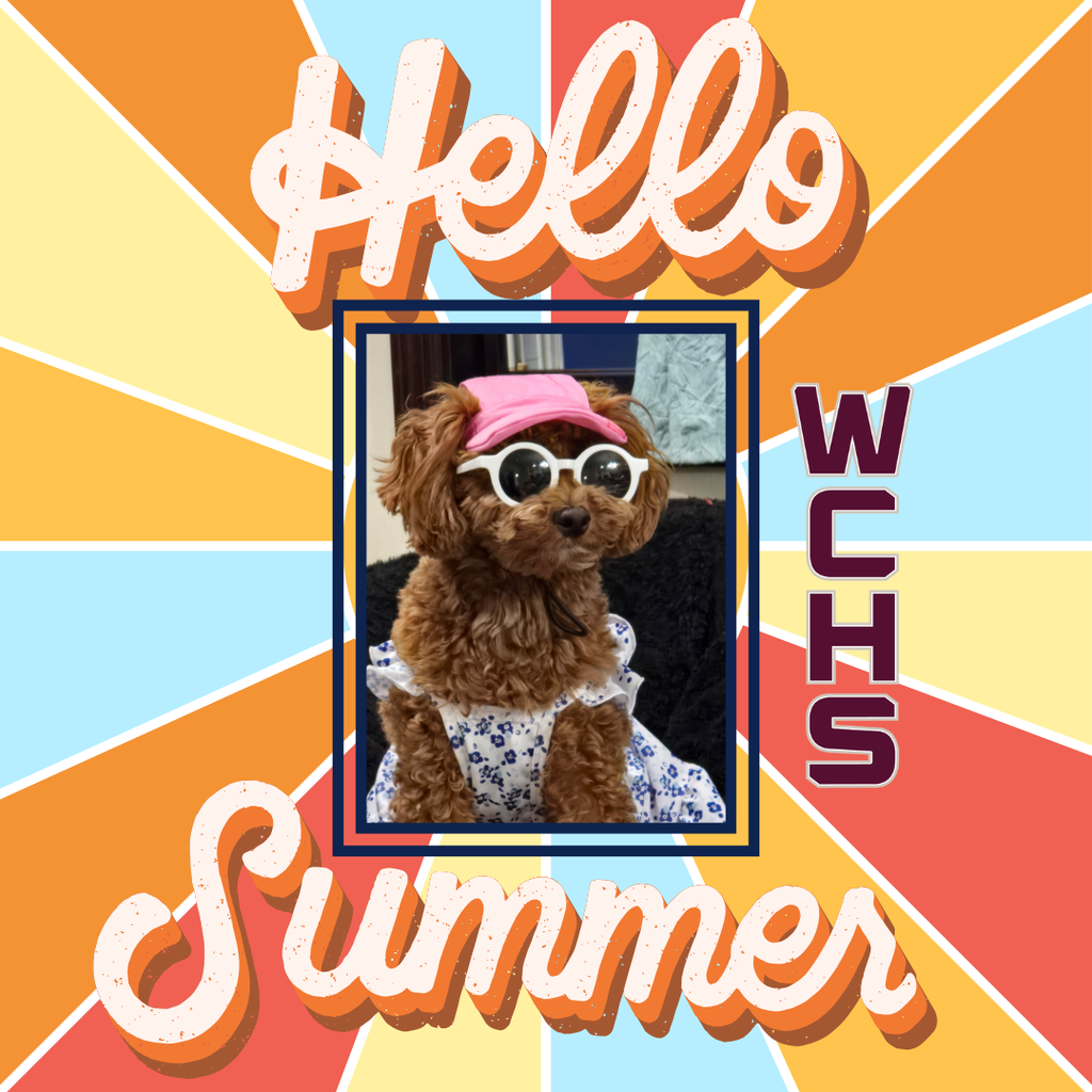 Hello Summer from WCHS from Franny