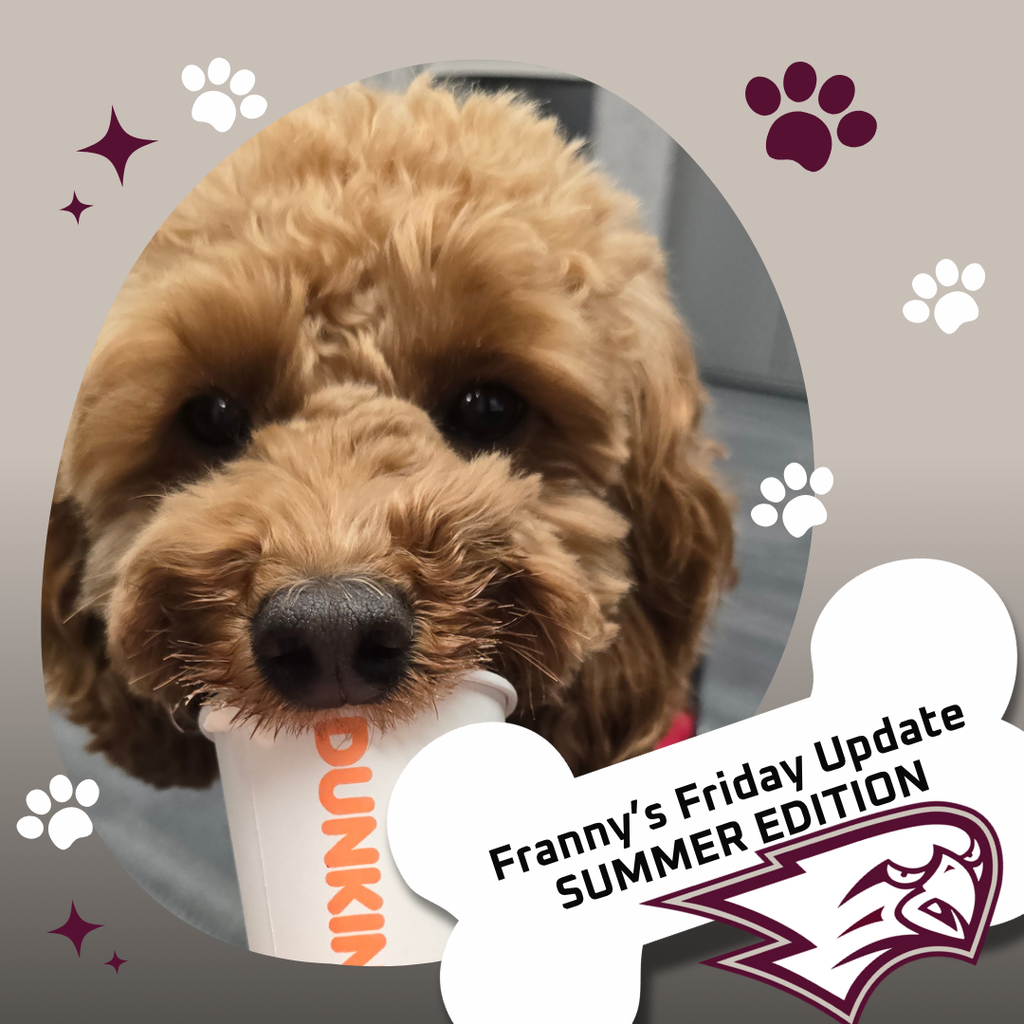 Franny eating a pup cup