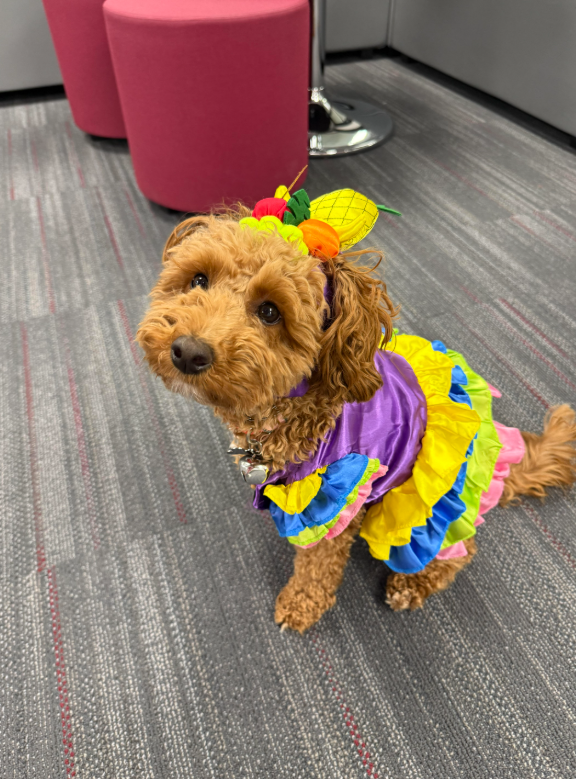 Franny dressed up