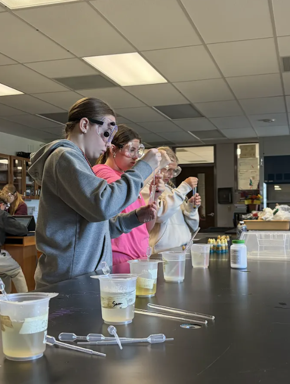 Students in science class