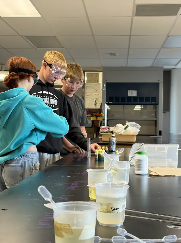 Students in science class