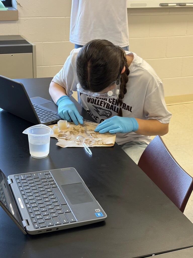 Bio Lab