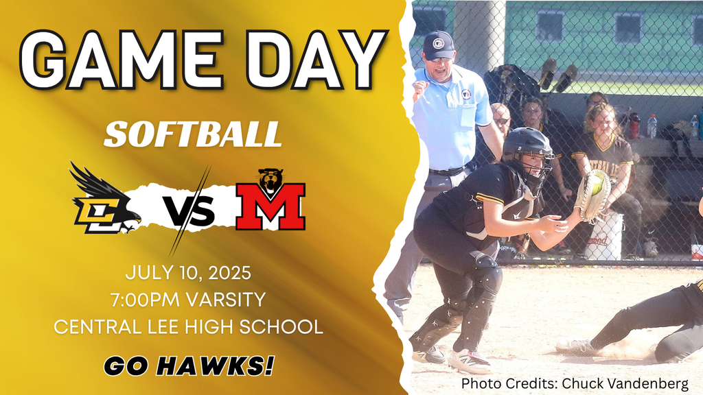 Softball Regionals v Monticello
