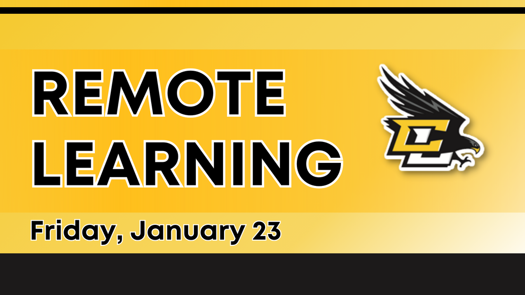 Central Lee_Social_Remote Learning Expectations (1)