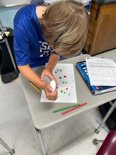 8th grade models balancing chemical equations using Pom Poms