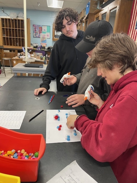 8th grade models balancing chemical equations using Pom Poms