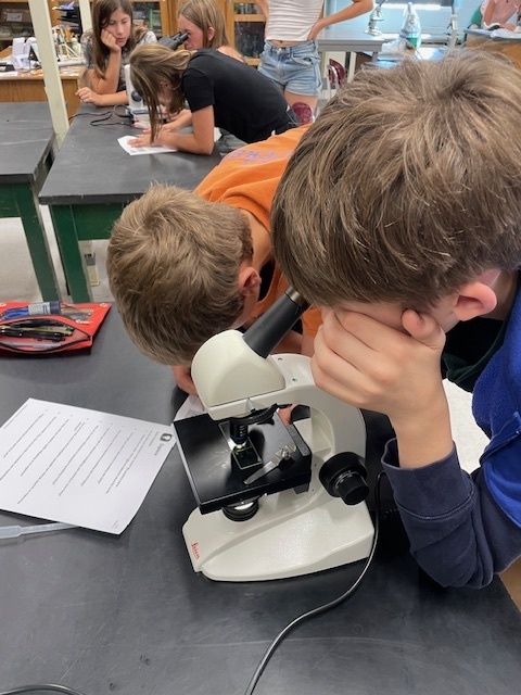 7th grade uses microscopes to differentiate between living and non living things by looking for cells