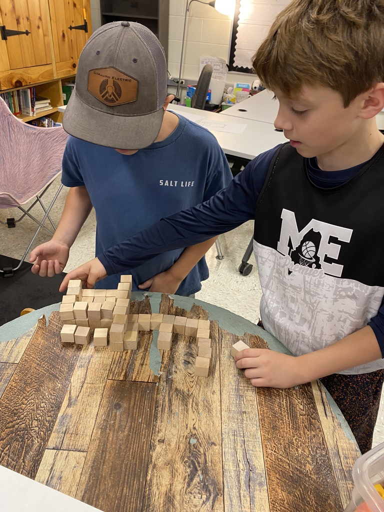 5th grade Design & Building
