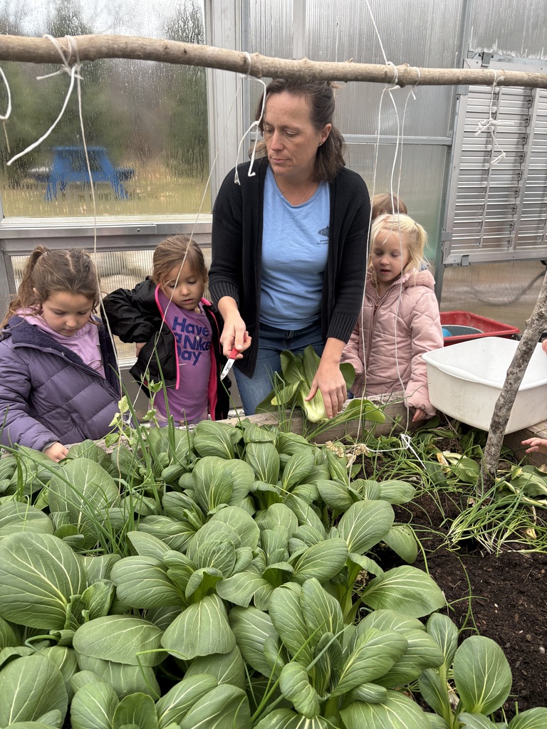 Pre-k had their first visit to FARMS