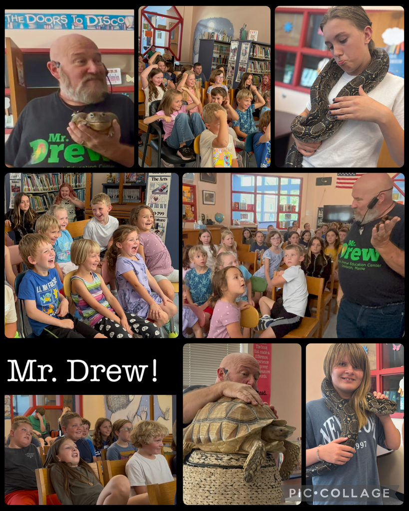 Kids see a tortoise