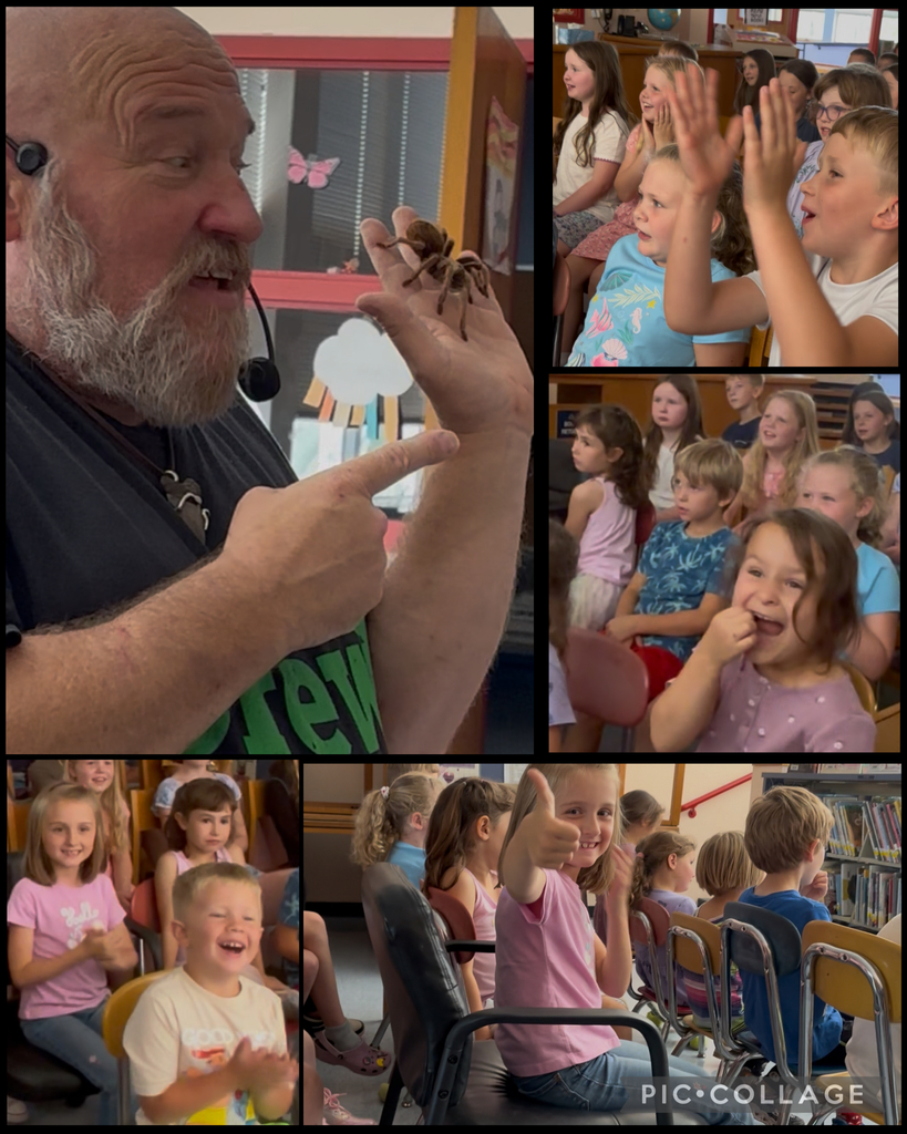 Man with tarantula