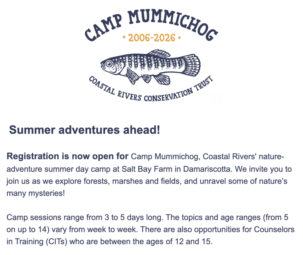 Screenshot 2026-03-02 at 11