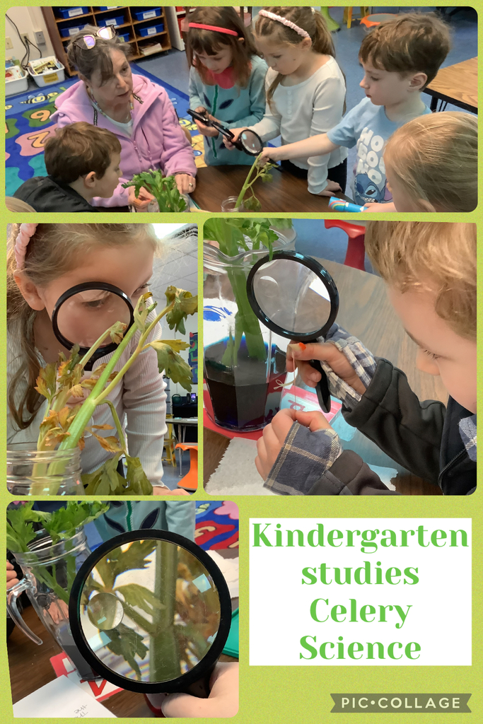 science in kindergarten