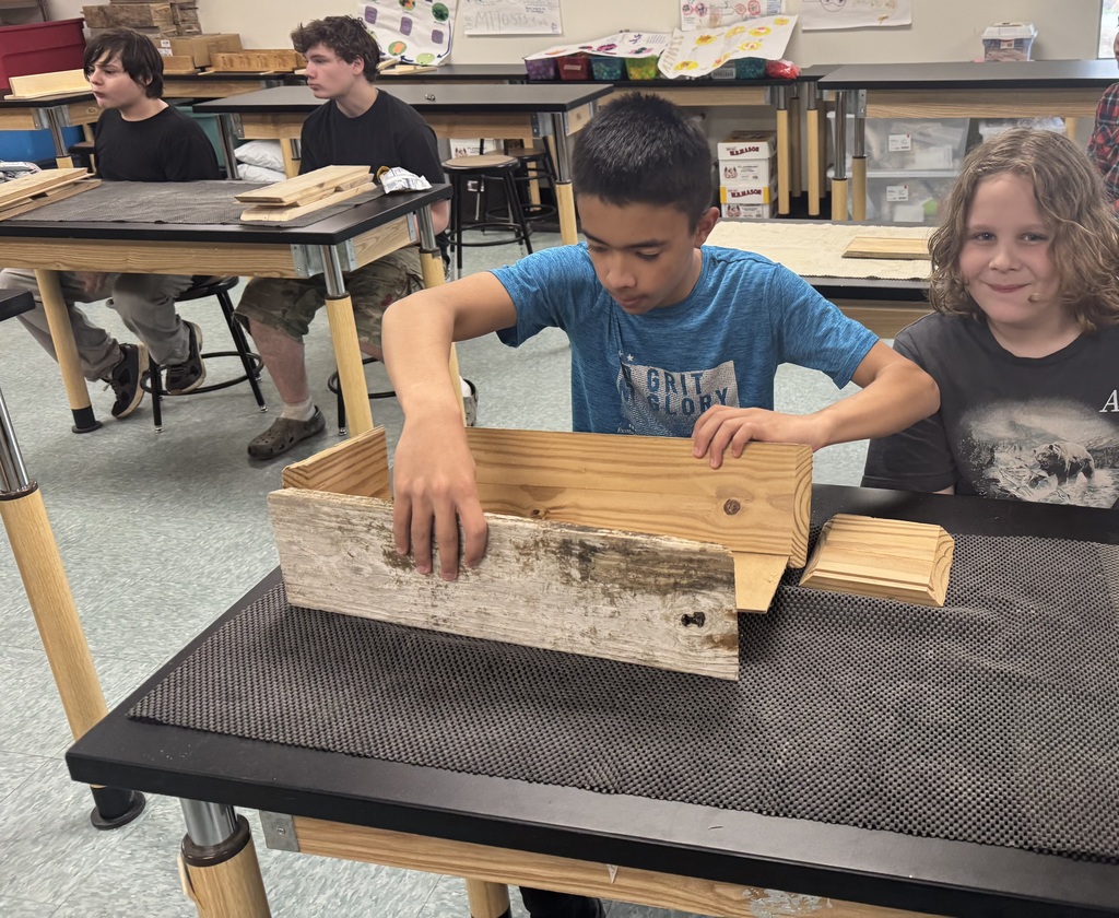 Spring Enrichment
