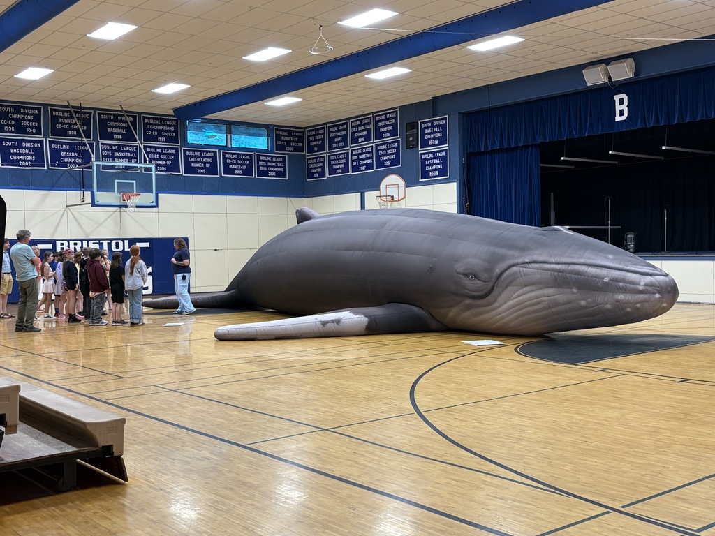 Within the Whale