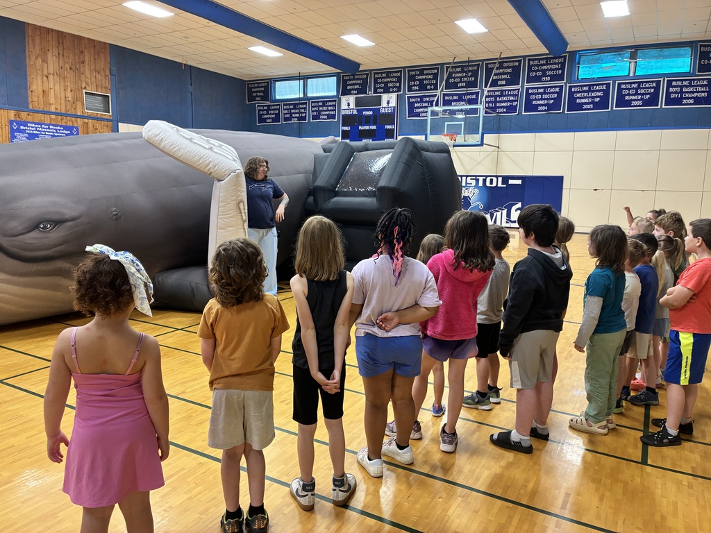 Within the Whale